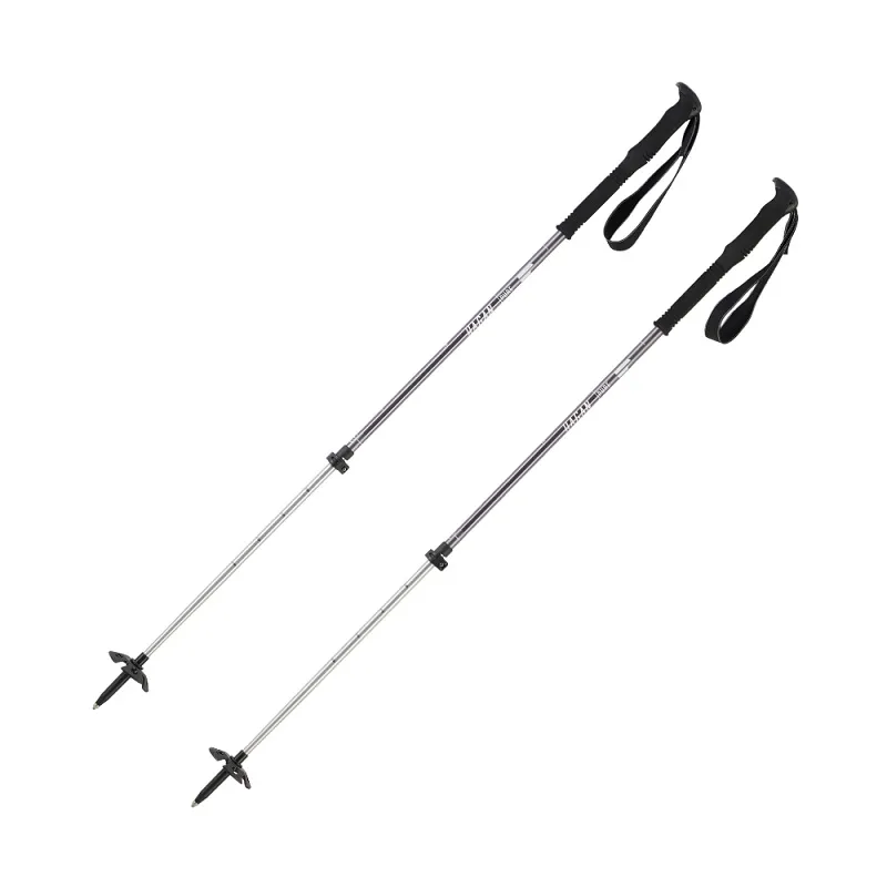 Hagan Pure Adjustable Ski Touring Poles